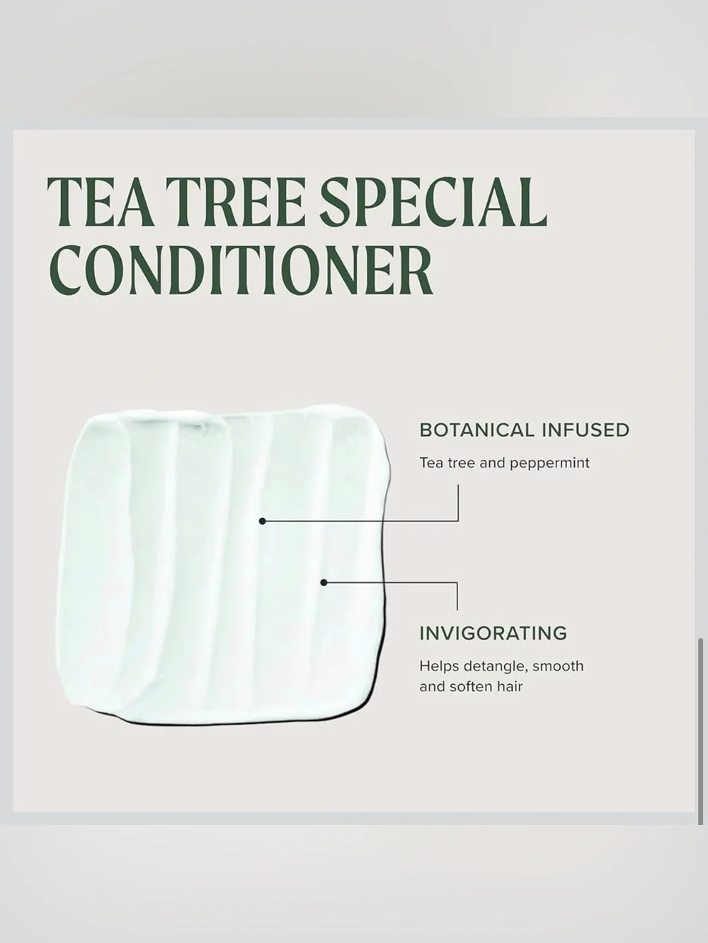 Paul Mitchell Tea Tree Special Conditioner - NEW